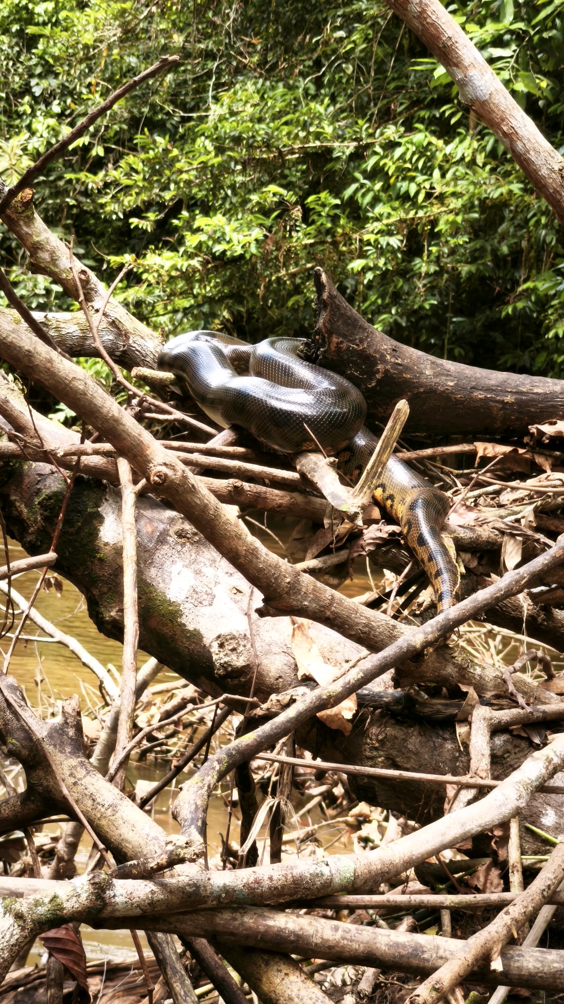 Viaggio Ecuador e Galapagos